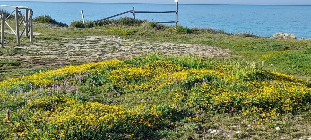 Willa Villino Il Melograno Torre Specchia Ruggeri Zewnętrze zdjęcie