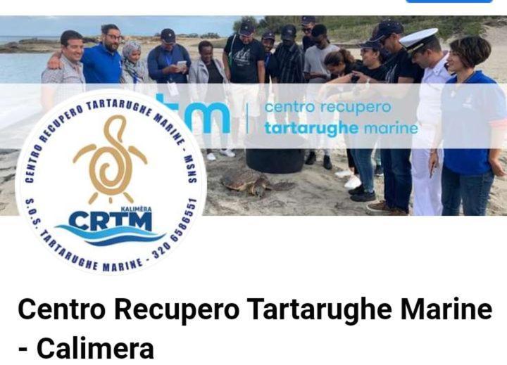 Willa Villino Il Melograno Torre Specchia Ruggeri Zewnętrze zdjęcie